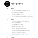 박형미