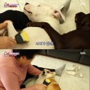 반장농장 이미지