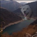 (주)다담