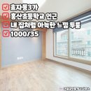 좋은채공인중개사사무소 이미지