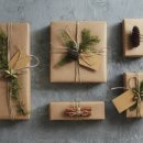 네츄럴플래닛 이미지