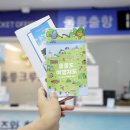 펫크루즈 이미지