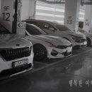 월트카써비스 이미지
