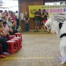 (주)천지개발 이미지