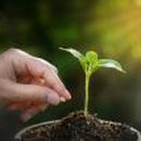 그린오션 이미지