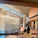 유한회사호텔뷰 | [호텔 리뷰] 서울 신라호텔 디럭스룸 후기 | 객실 뷰, 포토존, 더라이브러리, 산책로, 배달