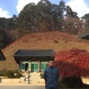 별마로버섯 이미지