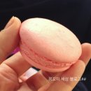 마리웨일마카롱 네이버블로그