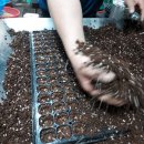 미사랑농장 이미지