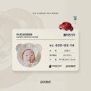 출산 준비물 필수템! 바구니 카시트, 폴레드 라이징스타 i-Size 선택 이유