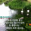 1292 Daum카페