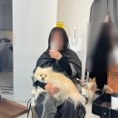 라끄헤어 - 은평구 갈현로 257-1 | 라끄헤어