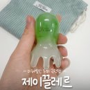 제이끌레르 꾸욱 문어 두피 괄사 시즌2 솔직 후기 🐙 두피괄사 추천!