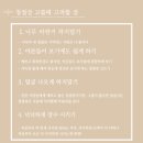 [채다 결혼준비] 보자기카드 샘플후기 전남 결혼준비하기 무료, 청첩장 고르는 방법 팁