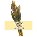 주식회사 니파바이오