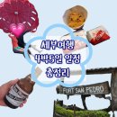 세부여행 4박5일 일정 코스 총정리 호핑투어 패러세일링 추천