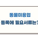 한가람행정사사무소 이미지