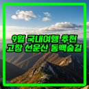 선운산 | 9월에 가기 좋은 국내여행지, 고창 선운산 선운사 걷기 후기