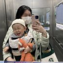 조하노리 이미지