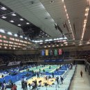 (주)레드비 | 시합뛰는 주짓수 관장의 IBJJF 아시안챔피언쉽 참가기(현재진행중)(검단주짓수,검단신도시주짓수...