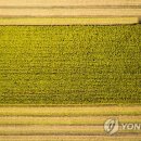 태이영농조합법인 이미지