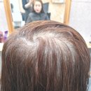 살롱드박헤어 | 경북 칠곡군 살롱드박 헤어, 구미 칠곡 탈모펌 잘하는 곳 후기