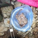 누리삼마을 이미지