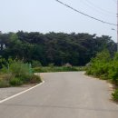 대추리길 이미지