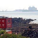 제주애월낭만식당김밥고사리육개장