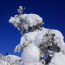 방장산(743m) 눈꽃산행은 황홀경이다 ＜14.12.18＞ 이미지