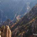 시나브로 이미지