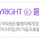 굽네치킨(선부3동점) 이미지
