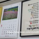 다사랑손칼국수 이미지