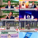 빌보드미디어 스타뉴스