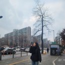 미셸롯데몰