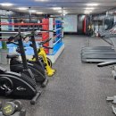 아세아 복싱 다이어트 클럽 이미지