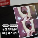 울산 에스테틱 추천 챠밍에스테틱 테라노바 에너지 부스터 하체관리 후기
