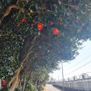 위미1리 복지회관 이미지