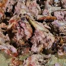 산골풍경 Daum카페