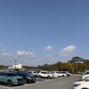 화신로8길1-27 | 로터스101 27년 상반기 견적 금액 공유 및 뷔페 후기(내용 긺 주의)