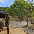 수예리오토캠핑장 이미지