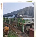 유천농장 이미지