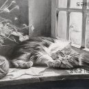 도규미술학원