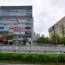 나성동_국세청앞 BRT 이미지