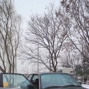 조조프로젝트 이미지