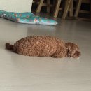 쿠아안경 | 쇼타로 진짜 노관심인데 얼마전에 일본 갔는데 우연히 눈이 마주쳤어요 저는 관심없어서 피했는데 계속...