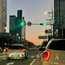 시드니양갈비본점 | 알콜홀릭 공부홀릭 그 중간 어디쯤(+캣홀릭)