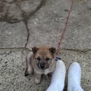 수산정육점 이미지