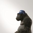 미스터고 이미지