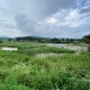 울산축협한우프라자(상북테마파크) 네이버블로그